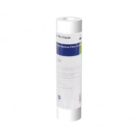 Filtre à Eau Pentair P1 Anti Sédiment