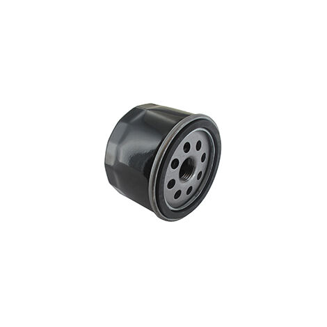Filtre à Huile Adaptable Pour Moteurs Briggs & Stratton: 21r807-0062-b5, 21r877-0015-b1, 31r507-0002-b1, 31r507-0011-b5, 31r577-