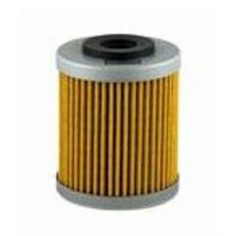 Filtre à huile Champion pour Moto Beta 250 Rr 4T 2005 à 2007