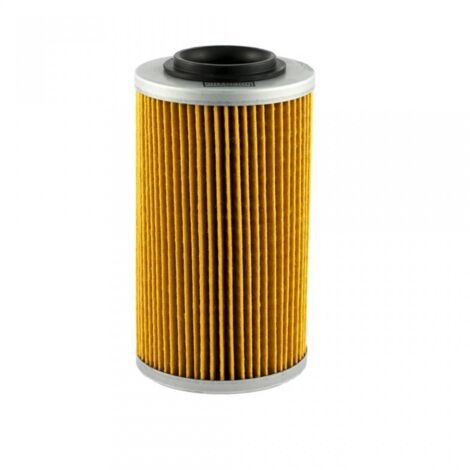 Filtre à huile Champion pour Quad John Deere 650 Trail Buck 2005