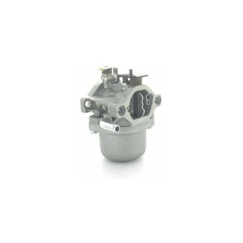 Carburateur BRIGGS ET STRATTON 794653