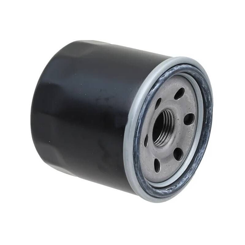 Filtre à huile moteur autoportée Stiga origine - 118551566/0