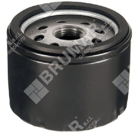 Filtre à huile moteur COMPATIBLE RUGGERINI - 010618