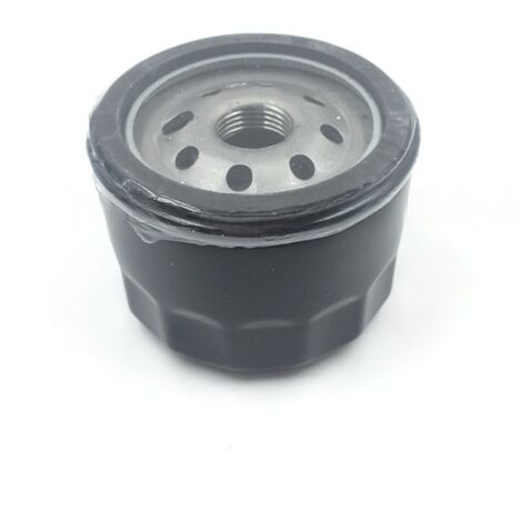 Filtre à huile pour carburateur 640065 pour tondeuse tracteur OHV 110 OHV 115