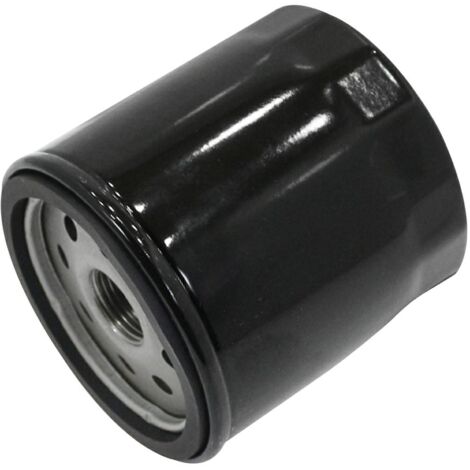 Filtre à huile pour moteur de tracteur de pelouse compatible BRIGGS & STRATTON 491056