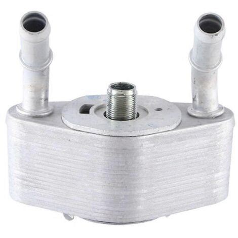 Filtre à moteur BL3Z 6A642-G pour pièces automobiles (2011-2021) - Argent