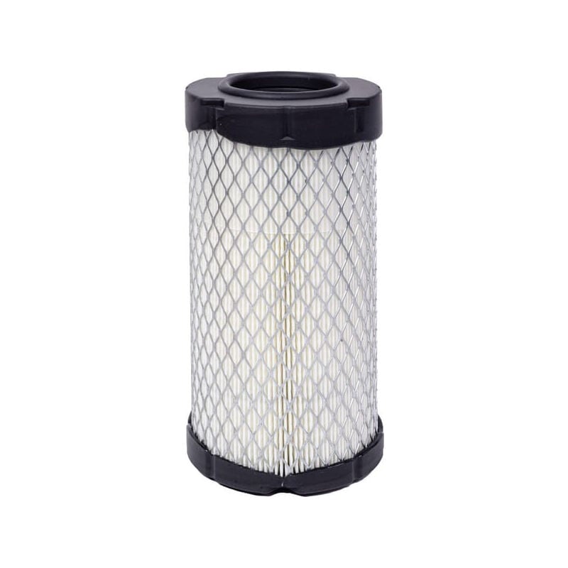 Filtre à air Mann-filter C10007