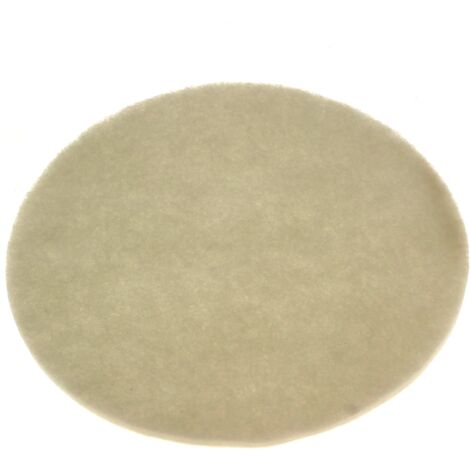 Filtre apres moteur d=162 , 918952-01 - aspirateur dyson