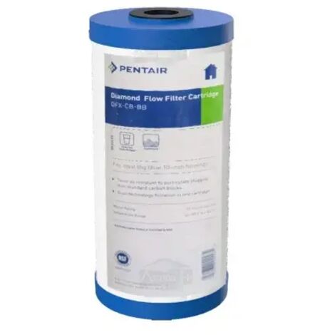 Filtre Big Blue Pentair DFX Chlore et Sédiment