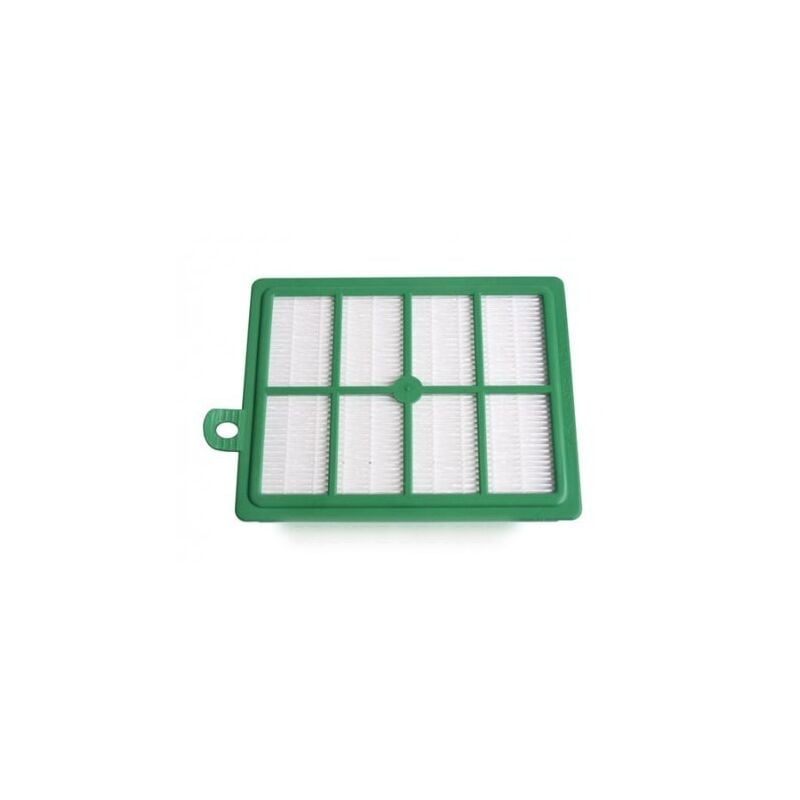 Filtre changeable F1 pour aspirateur Electrolux