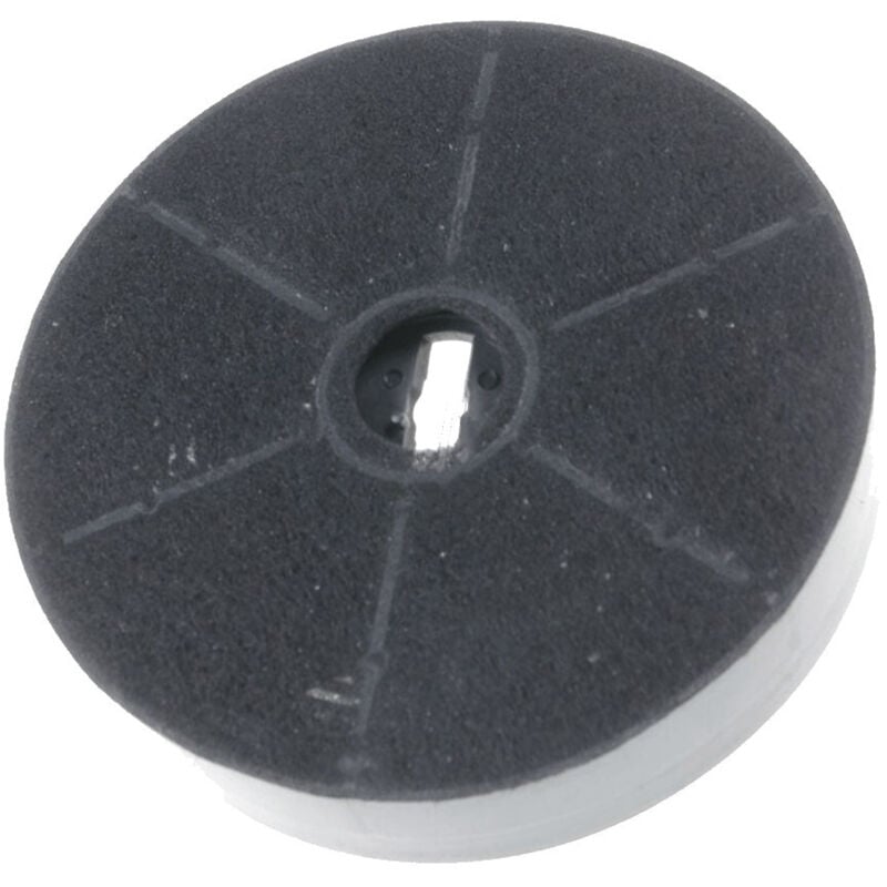 Filtre à charbon 170X39 mm