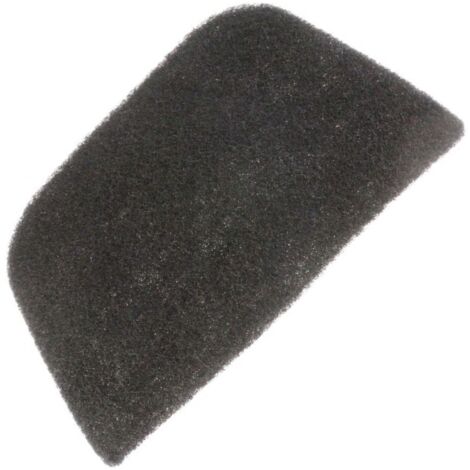 Filtre charbon