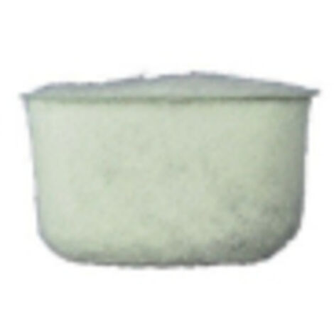 Filtre charbon actif pour Cafetiere DELONGHI 7313285779