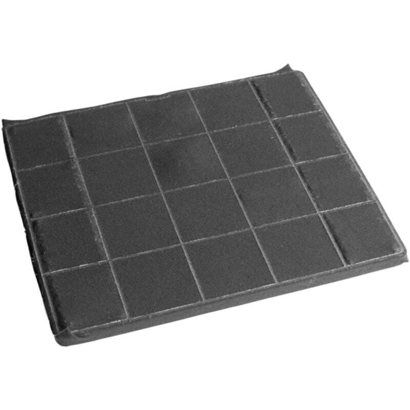 Electrolux - Filtre à charbon Long Life ECFBLL02 (24 x 19,3 cm) pour hotte aeg