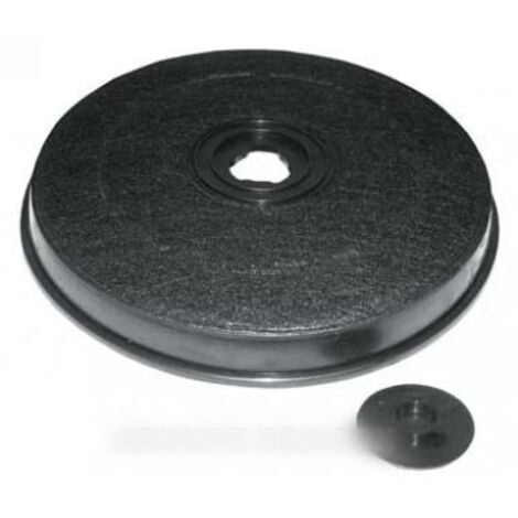 WPRO Filtre charbon type E233 FAC519 EFF57 233 x 22 mm