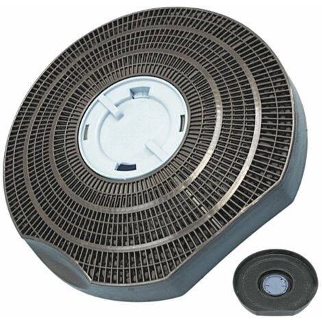Filtre Charbon Type25 Ø228mm H42mm   5029065100 Pour HOTTE