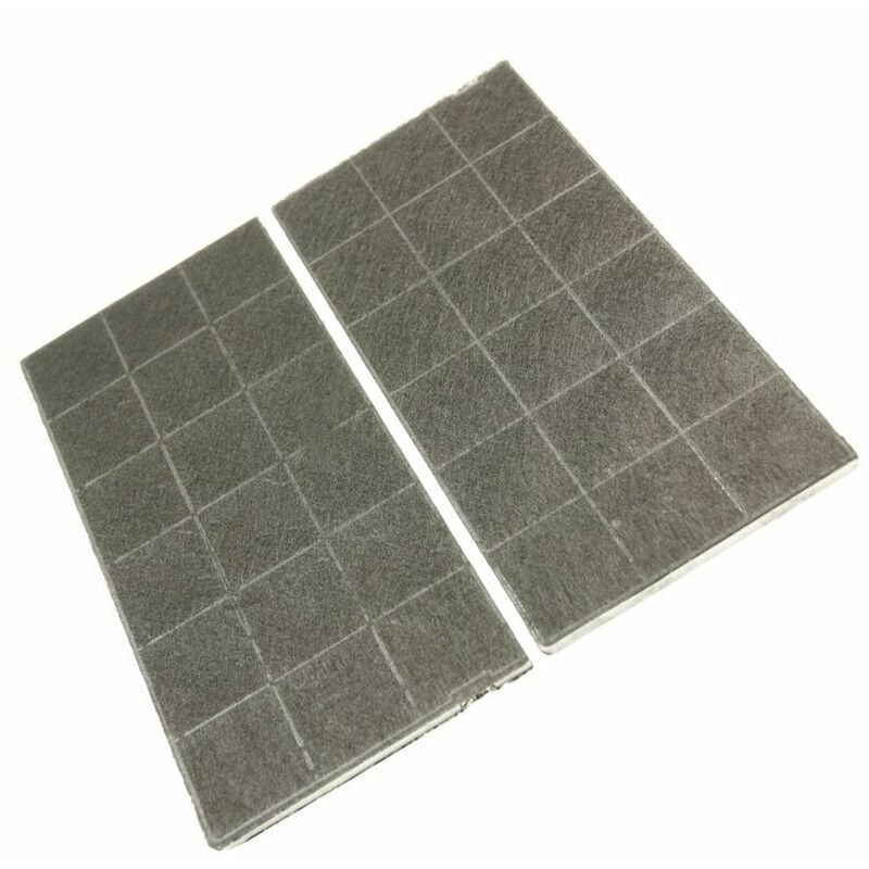 Electrolux - Lot de 2 filtres charbon 289X145X10 mm (4055026050) Hotte aeg, bauknecht, de dietrich, ikea whirlpool, kitchenaid