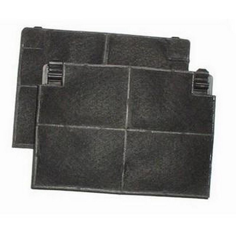 Lot de 2 filtres charbon Roblin 5403001 193x137x20mm (484000008781, EFF70)