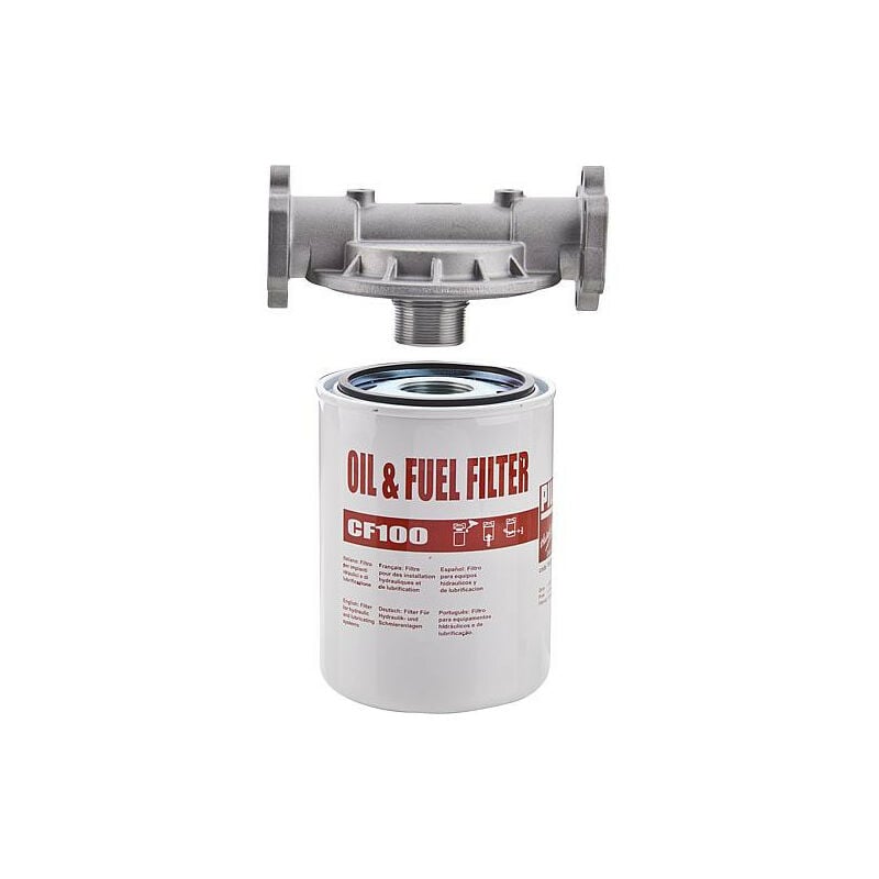 Filtre de rechange pour fioul 1' 100l/min