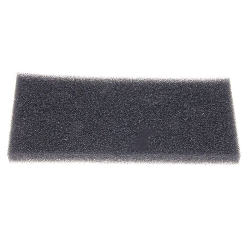 BOSCH Filtre de sortie d'air, Aspirateur, 00648471