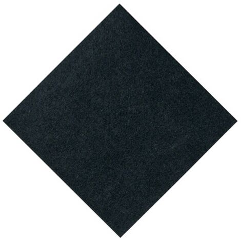 Filtre devant (36775-58141) (00419959) Aspirateur BOSCH, SIEMENS