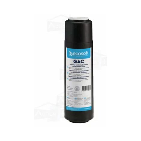 Filtre Ecosoft GAC 10 Pouces