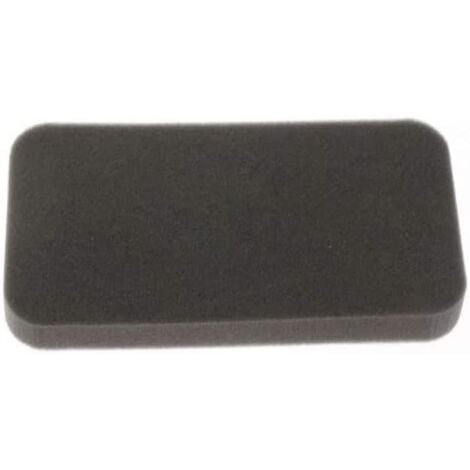 Filtre en mousse pour Aspirateur ROWENTA RS-RT3658