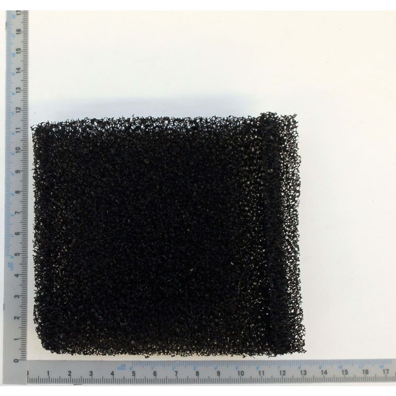 7907702703 Lot de 5 filtres en mousse pour ASP12-ES ASP30-ES ASP50-ES Noir 12/15/20/30/50 l - Scheppach