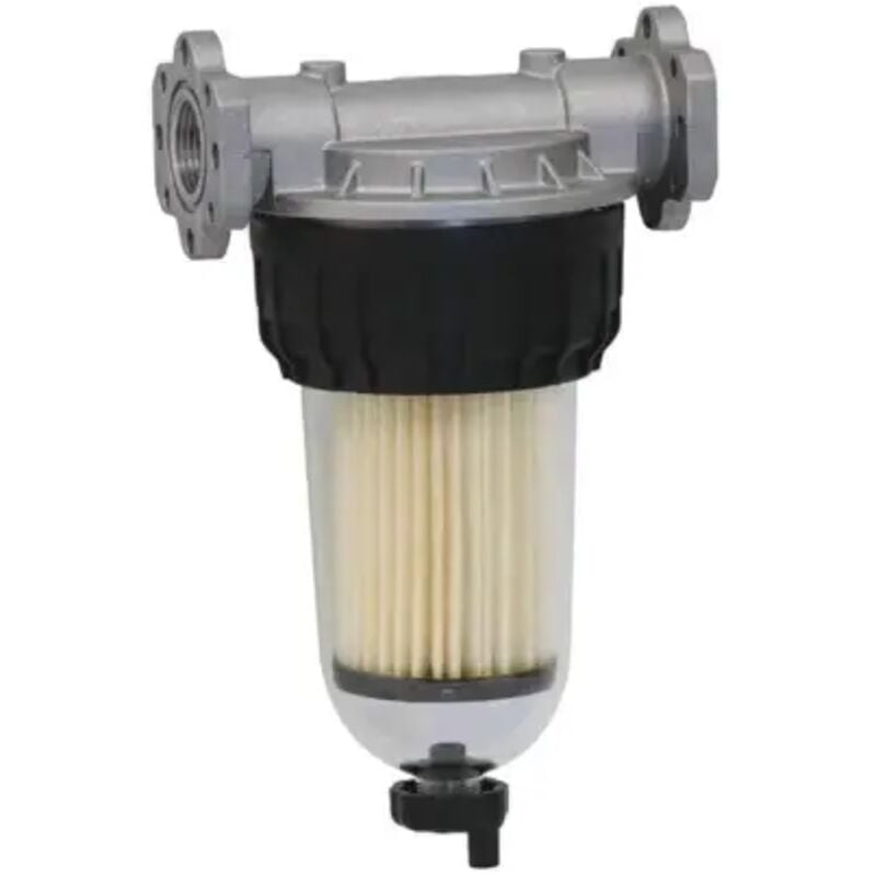 Piusi - Filtre à gasoil support 1' bol transparent 2 cartouches 30μ mâle 1'