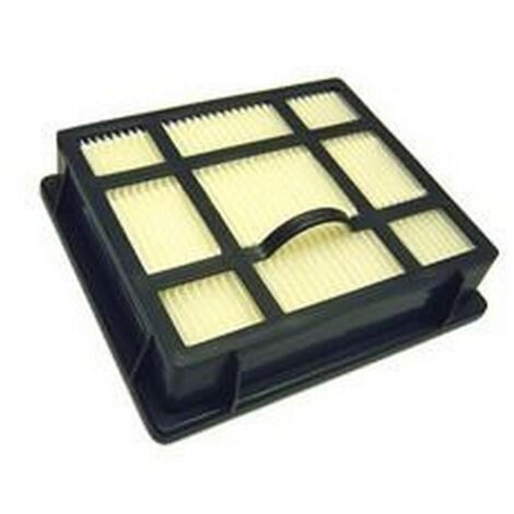 Filtre Hepa (143674-52824) (1924992207) Aspirateur AEG, ELECTROLUX, TORNADO