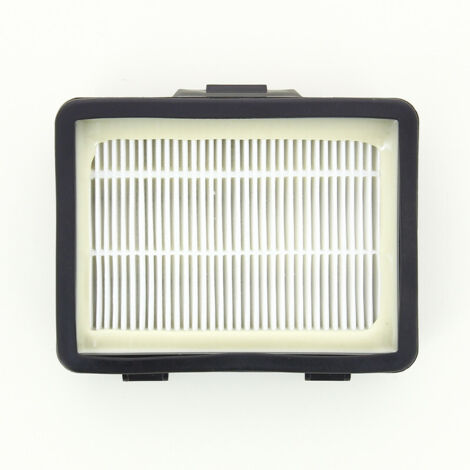 Filtre hépa  17001740 pour Aspirateur BOSCH , CLEANN'N