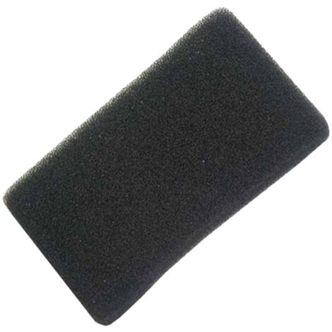 Filtre Hepa d'origine