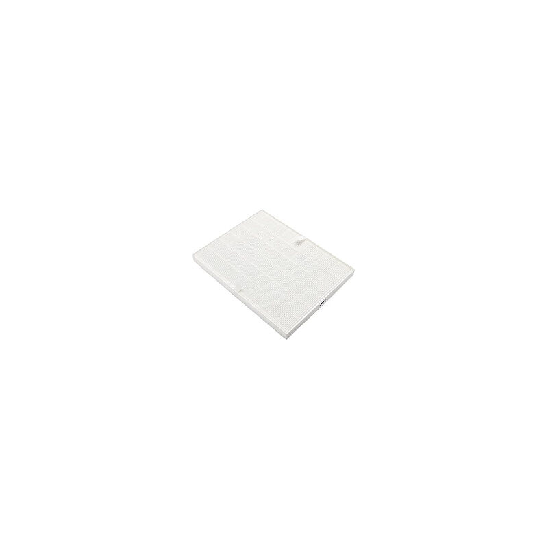 Electrolux - Filtre Allergy+ lavable pour Purificateur d'Air 9001660415