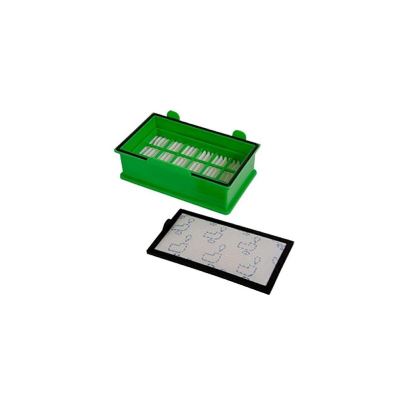 Filtre Hepa aspirateur Ergo Force (rs-rt4043) - Rowenta