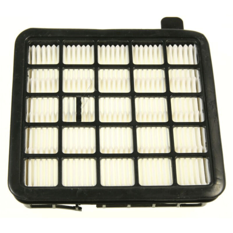 Filtre hepa moteur d'origine