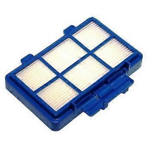 Filtre HEPA pour aspirateurs Philips PowerGo séries FC8242, FC8246 et FC8243 (CP0538/01).