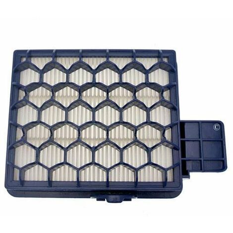 Filtre Hepa S87 PUREPOWER