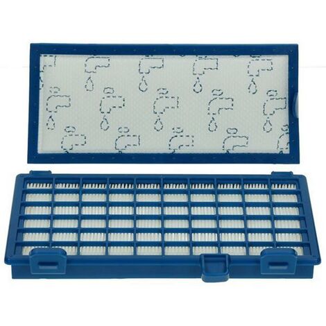 Filtre HEPA X-TREM POWER