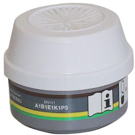 Filtre HONEYWELL N06575089L