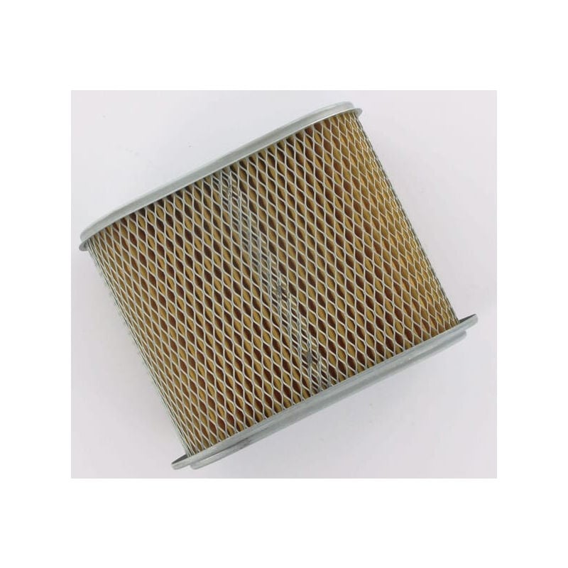 Filtre KOHLER 6308311S