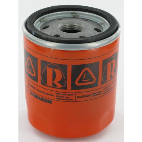 Filtre LOMBARDINI 2175284
