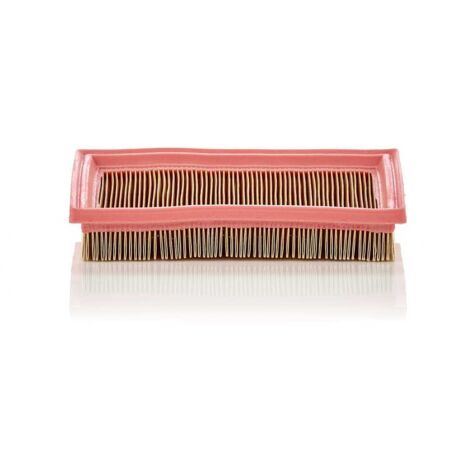 Filtre MANN-FILTER C2244