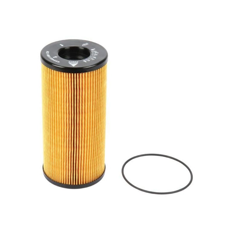 Filtre Massey Ferguson 4224811M1