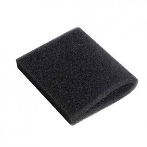 Filtre moteur