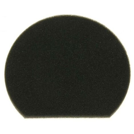 Filtre mousse  12022750 pour Aspirateur BOSCH , CLEANN'N
