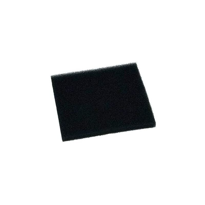 SEB Filtre mousse RS-RT4372 pour Aspirateur ROWENTA SILENCE FORCE COMPACT