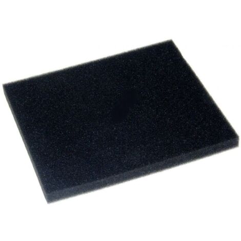 Filtre mousse pour Aspirateur PHILIPS 422245946171