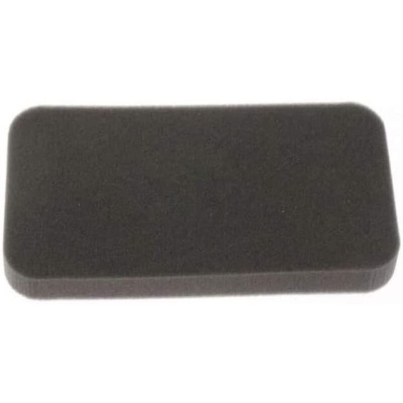 Filtre en mousse pour Aspirateur Rowenta RS-RT3658