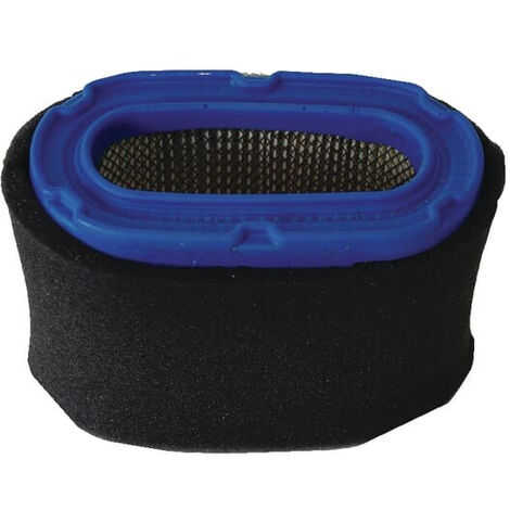 Filtre OUTILS-WOLF 18780OW
