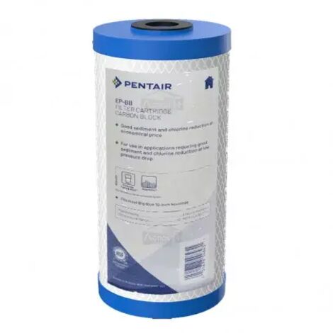 Filtre Pentair EP-10 BB Charbon Actif Bloc Big Blue